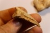 SPINOSAURUS AEGYPTIACUS CLAW