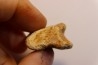 SPINOSAURUS AEGYPTIACUS CLAW