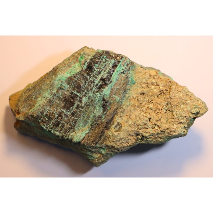 bois fossile avec  MALACHITE et CHRYSOCOLLE - portland formation - Lower Jurassique - Suffield, connecticut, USA