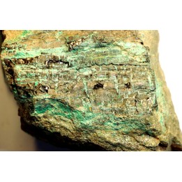 fossil wood  with MALACHITE and CHRYSOCOLLA - Lower Jurassic - Suffield, connecticut, USA