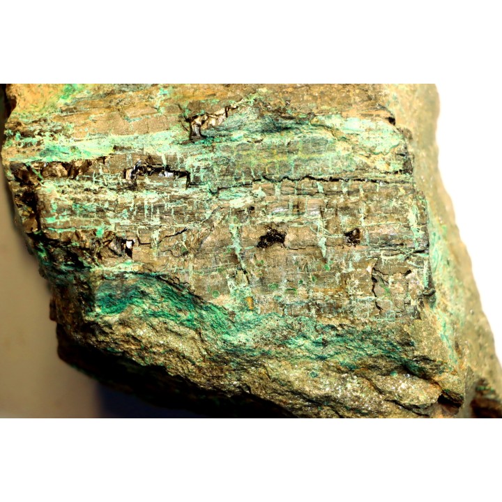 fossil wood  with MALACHITE and CHRYSOCOLLA - Lower Jurassic - Suffield, connecticut, USA