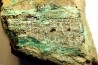 bois fossile avec  MALACHITE et CHRYSOCOLLE - portland formation - Lower Jurassique - Suffield, connecticut, USA