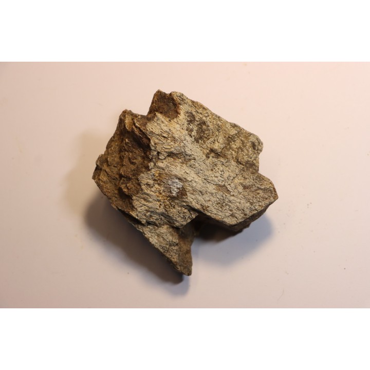 Dinosaure: fragment de collerette de TRICERATOPS HORRIDUS - Hell Creek  Fmt - crétacé sup. - Glendive County, Montana
