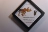dinosaure tooth: TRICERATOPS HORRIDUS