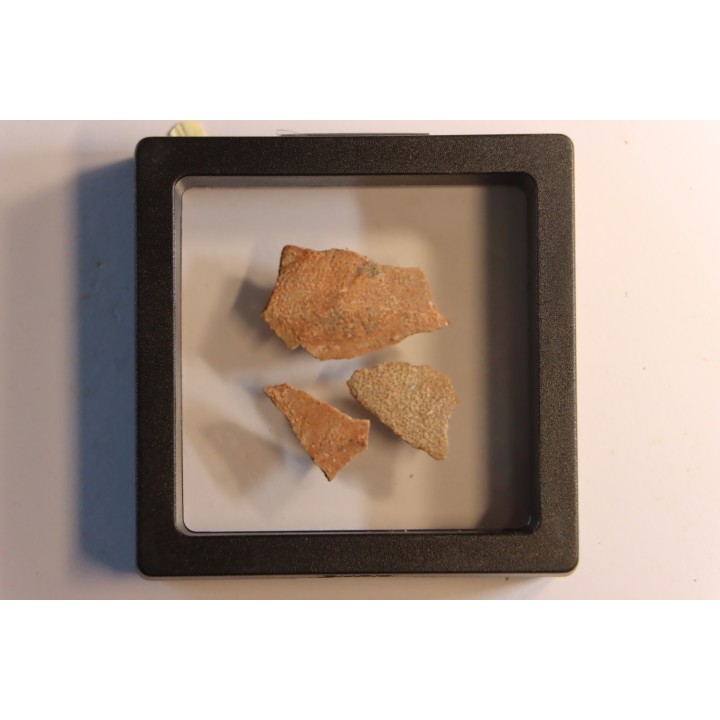 Coquilles d'œufs MEGALOOLITHUS - Du dinosaure TITANOSAURE  HYPSELOSAURUS