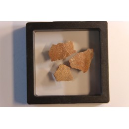 Coquilles d'œufs MEGALOOLITHUS - Du dinosaure TITANOSAURE  HYPSELOSAURUS