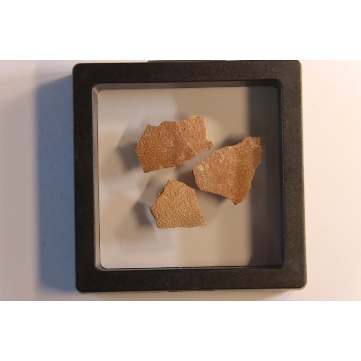 DINOSAUR egg shell MEGALOOLITHUS  - from dinosaur TITANOSAURE  HYPSELOSAURUS