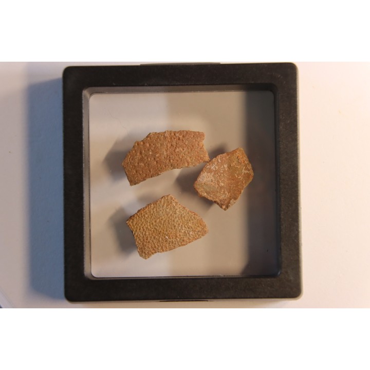 DINOSAUR egg shell MEGALOOLITHUS  - from dinosaur TITANOSAURE  HYPSELOSAURUS