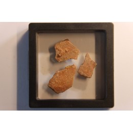 Coquilles d'œufs MEGALOOLITHUS - Du dinosaure TITANOSAURE  HYPSELOSAURUS
