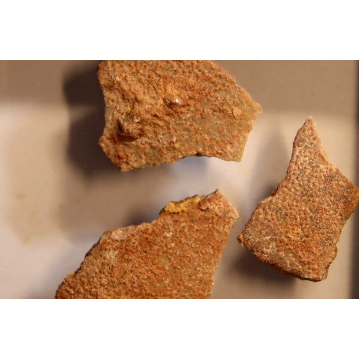 Coquilles d'œufs MEGALOOLITHUS - Du dinosaure TITANOSAURE  HYPSELOSAURUS