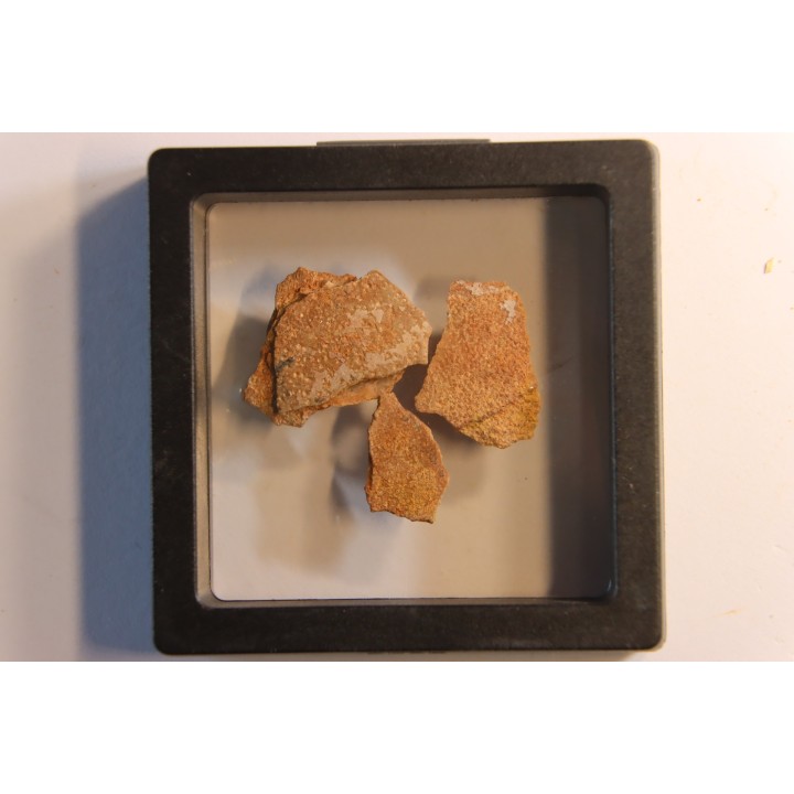 Coquilles d'œufs MEGALOOLITHUS - Du dinosaure TITANOSAURE  HYPSELOSAURUS