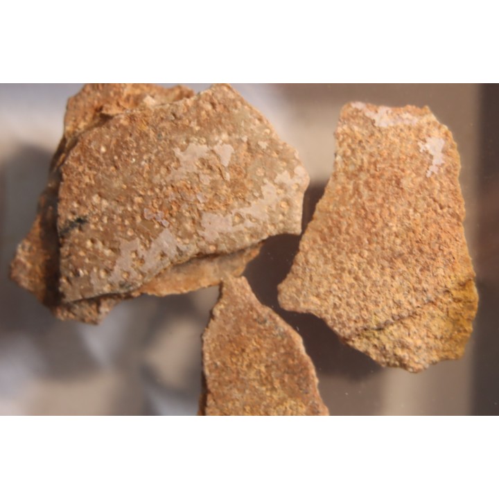 DINOSAUR egg shell MEGALOOLITHUS  - from dinosaur TITANOSAURE  HYPSELOSAURUS