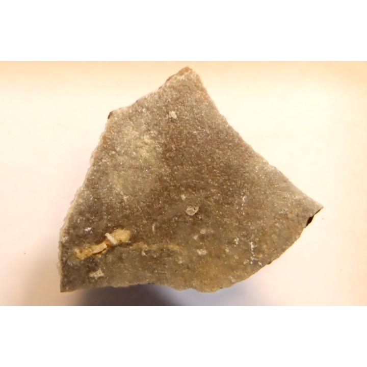 coquille d œuf de dinosaure à bec de canard: Maiasaura peeblesorum