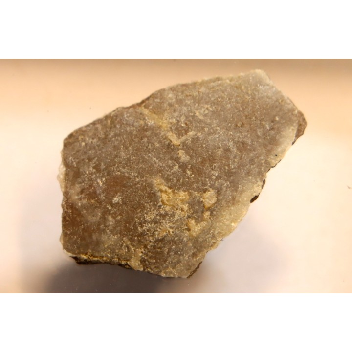 dinosaur Maiasaura peeblesorum egg shell