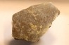 dinosaur Maiasaura peeblesorum egg shell