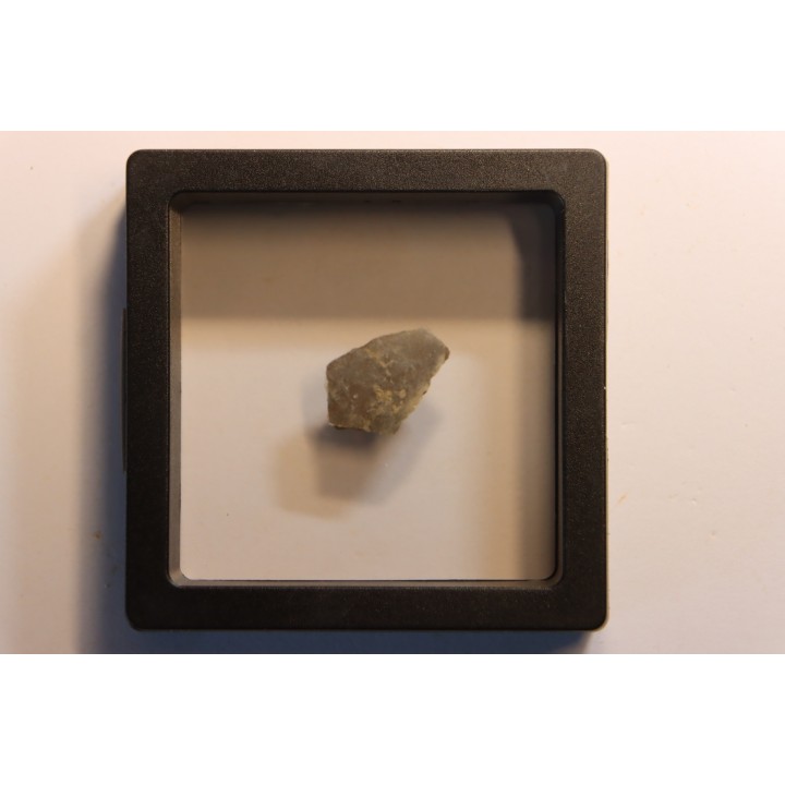 coquille d œuf de dinosaure à bec de canard: Maiasaura peeblesorum