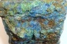 superbe bois fossile en azurite malachite