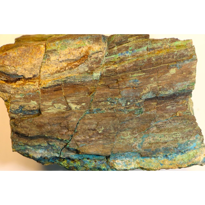 superbe bois fossile en azurite malachite