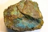 fossil wood with azurite malachite inclued