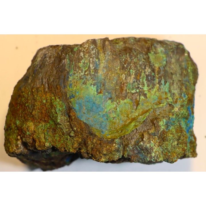 fossil wood with azurite malachite inclued