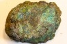 superbe bois fossile en azurite malachite
