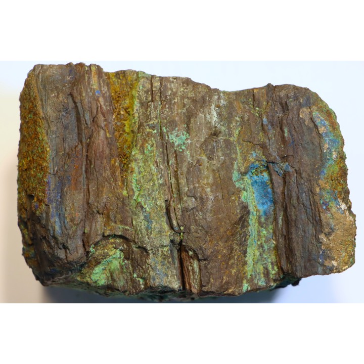 fossil wood with azurite malachite inclued