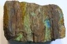 fossil wood with azurite malachite inclued