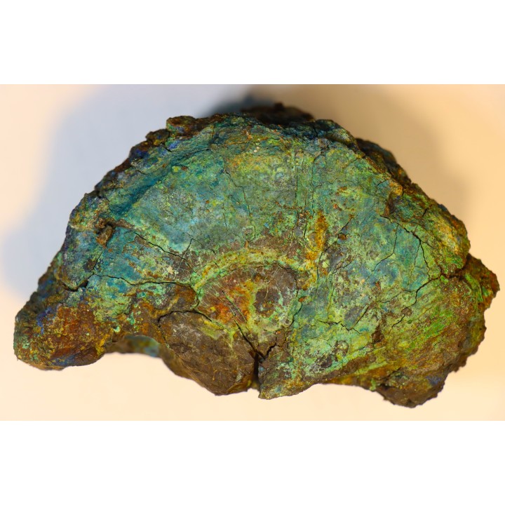 fossil wood with azurite malachite inclued