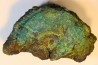 fossil wood with azurite malachite inclued