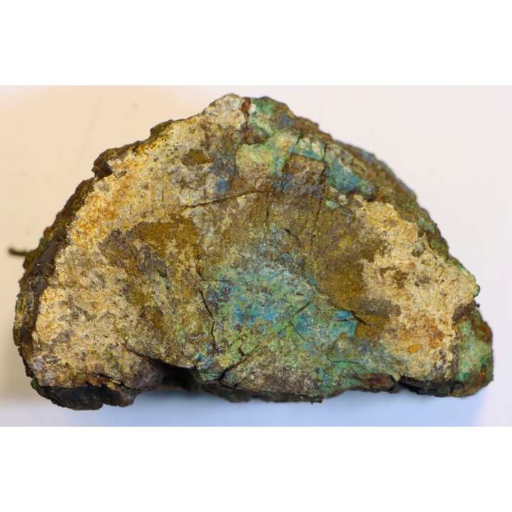 fossil wood with azurite malachite inclued