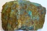 superbe bois fossile en azurite malachite