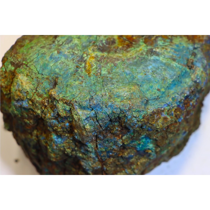 fossil wood with azurite malachite inclued