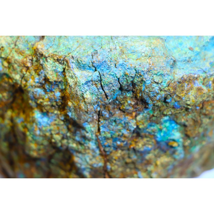 superbe bois fossile en azurite malachite
