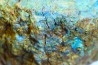 fossil wood with azurite malachite inclued