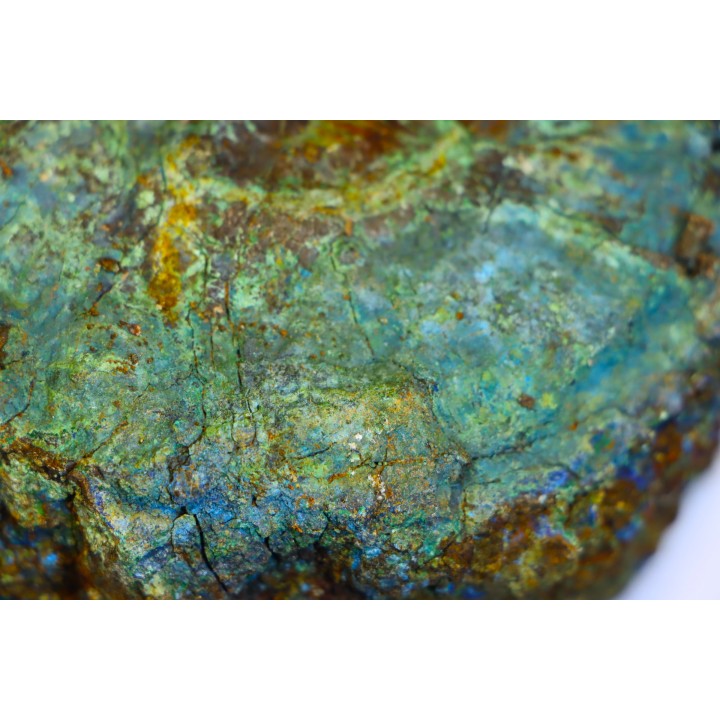 superbe bois fossile en azurite malachite