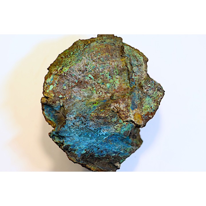 fossil wood with azurite malachite inclued