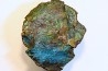 fossil wood with azurite malachite inclued