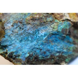 superbe bois fossile en azurite malachite