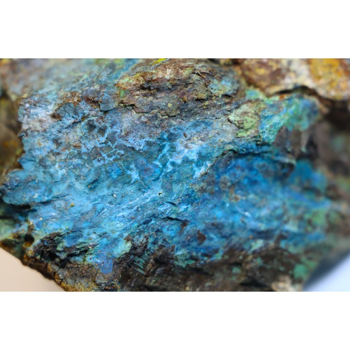 fossil wood with azurite malachite inclued