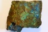 superbe bois fossile en azurite malachite