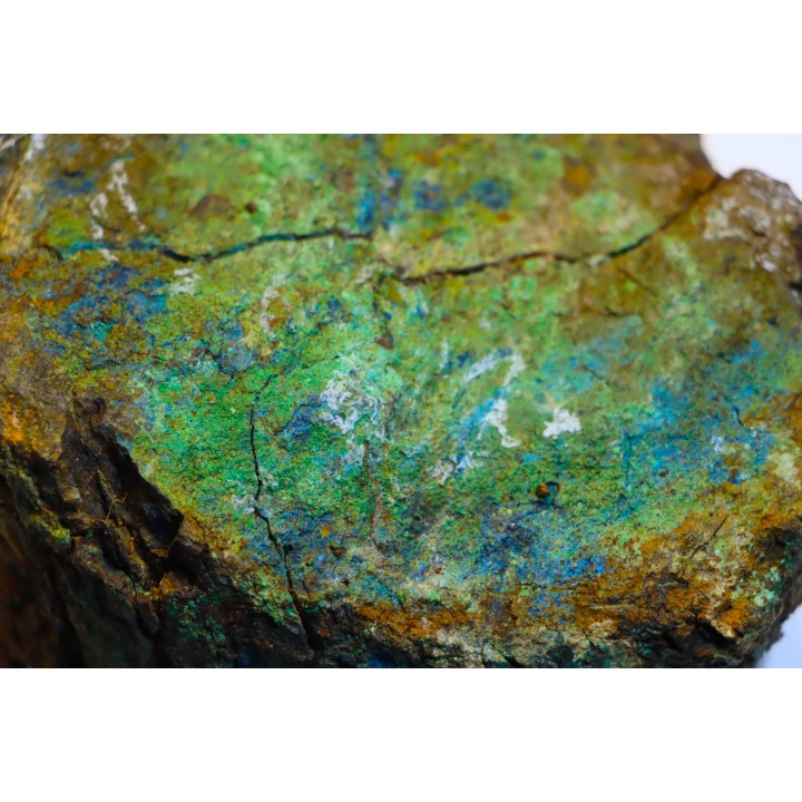 superbe bois fossile en azurite malachite