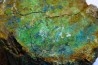 fossil wood with azurite malachite inclued