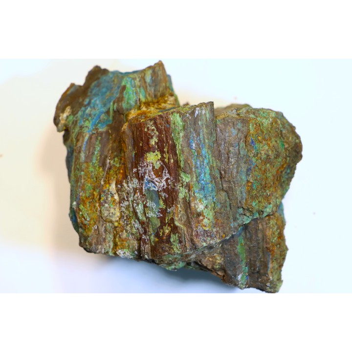 superbe bois fossile en azurite malachite