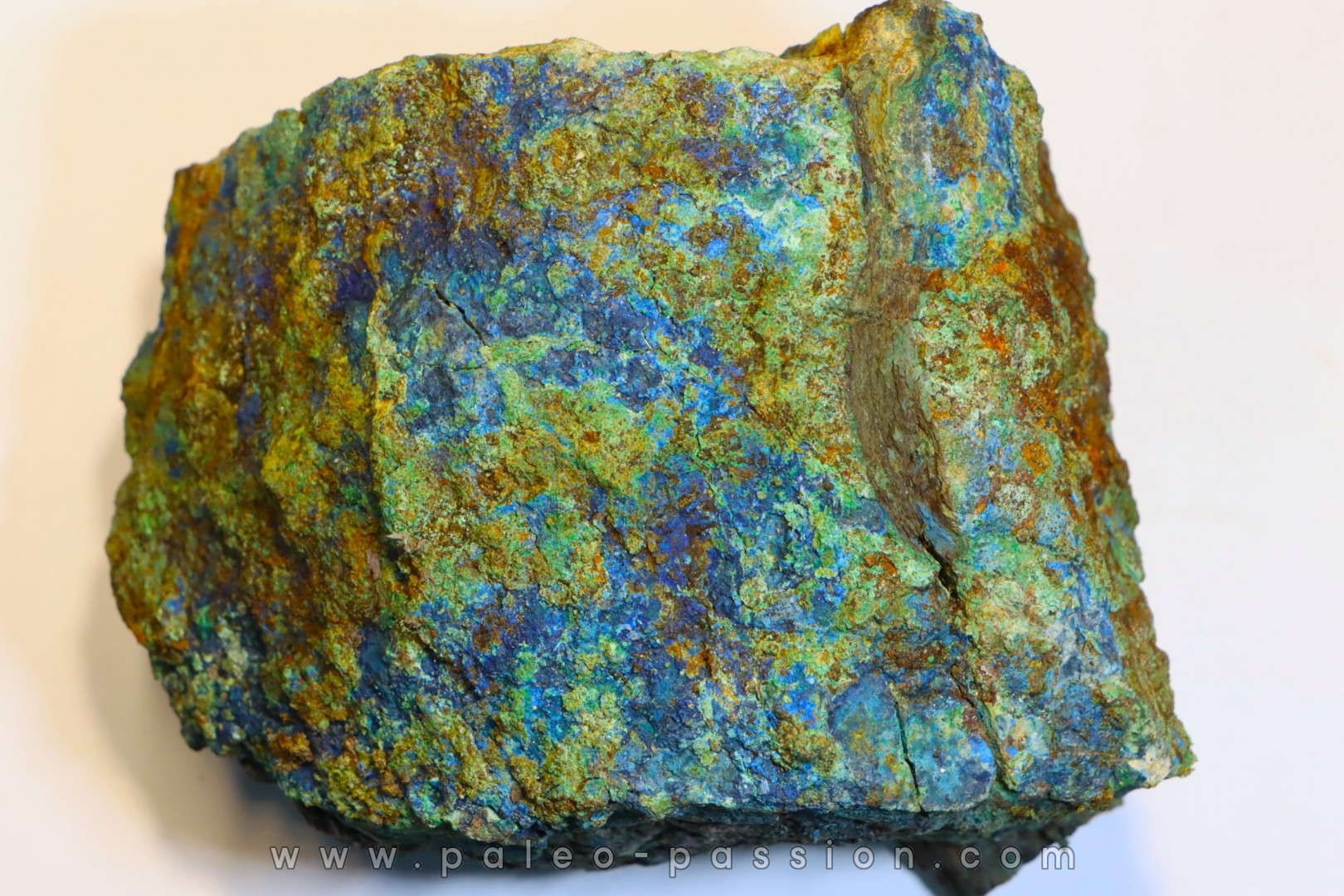 fossil wood with azurite malachite inclued