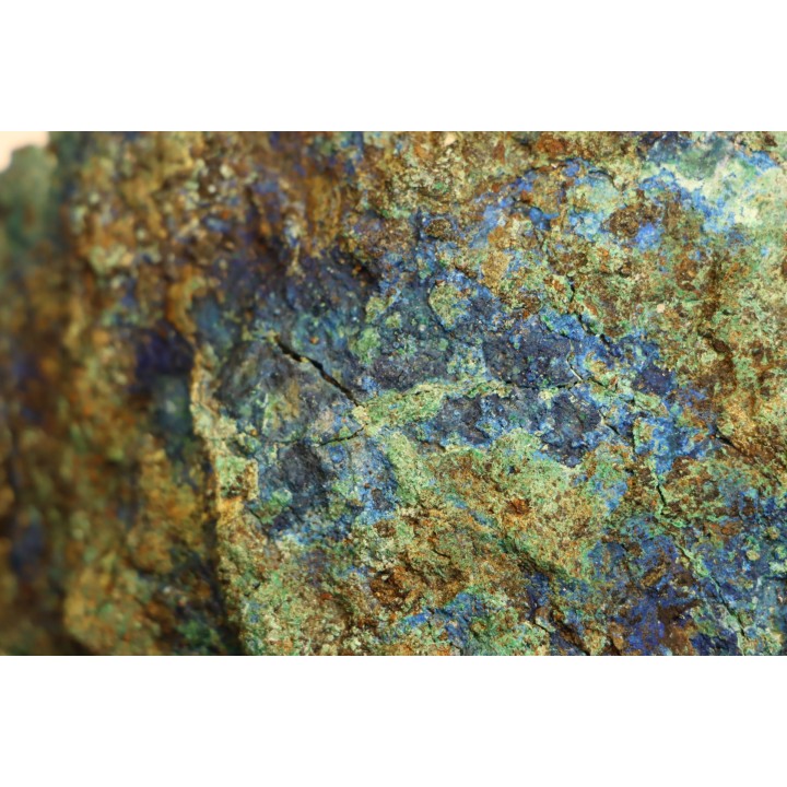 fossil wood with azurite malachite inclued