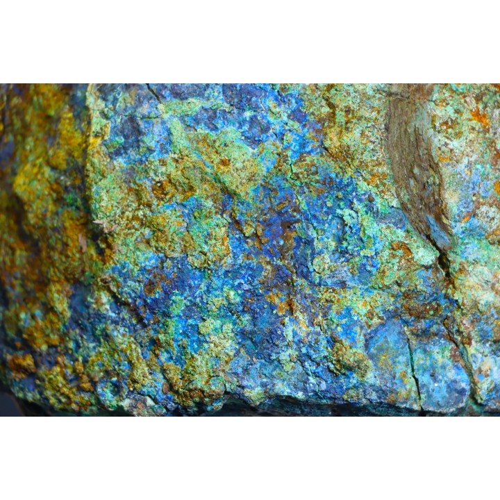 superbe bois fossile en azurite malachite
