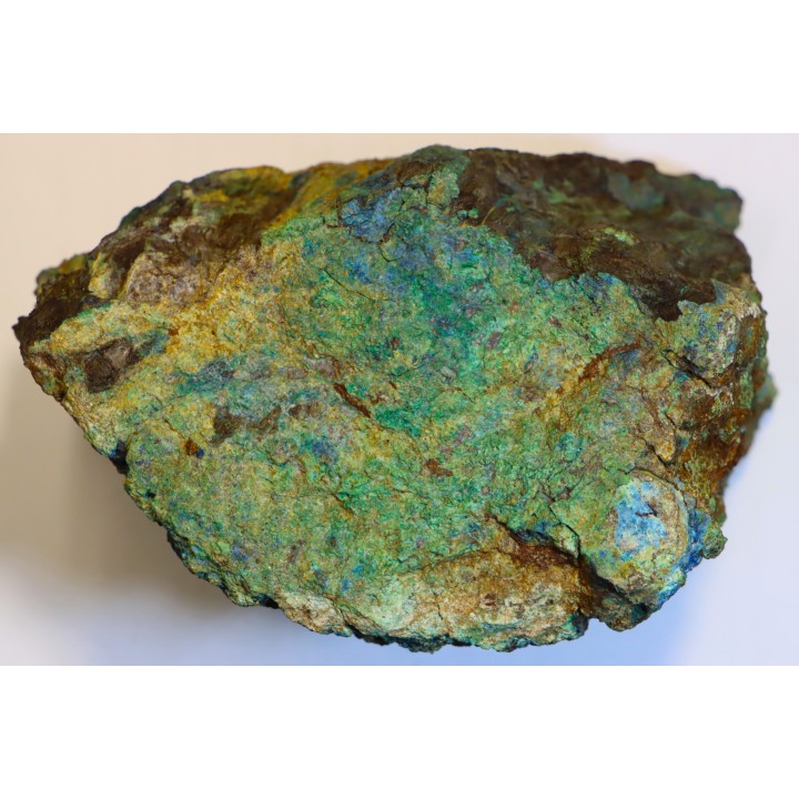 fossil wood with azurite malachite inclued