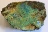 fossil wood with azurite malachite inclued