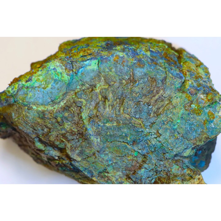 fossil wood with azurite malachite inclued