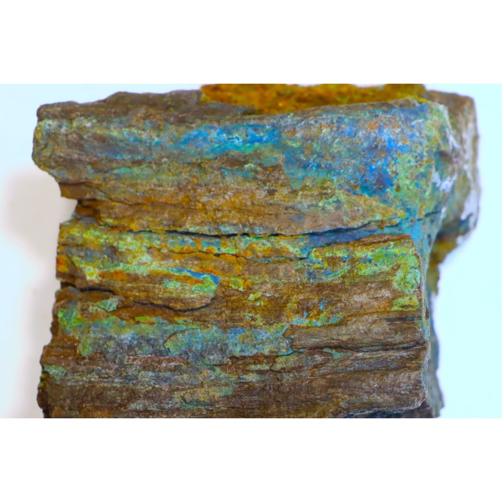 superbe bois fossile en azurite malachite